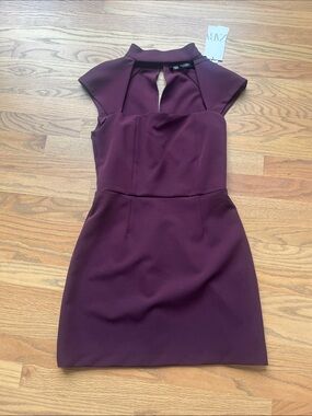 Zara Plum Sleeveless Mini Dress with Keyhole Neck